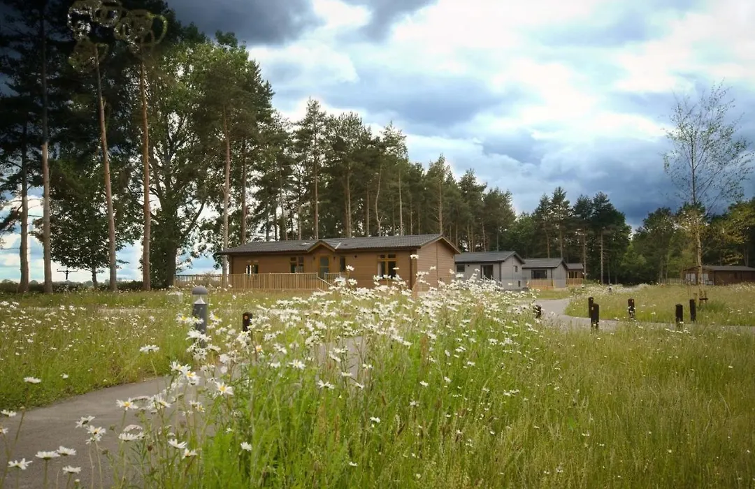 Hollicarrs - Sunflower Lodge-1