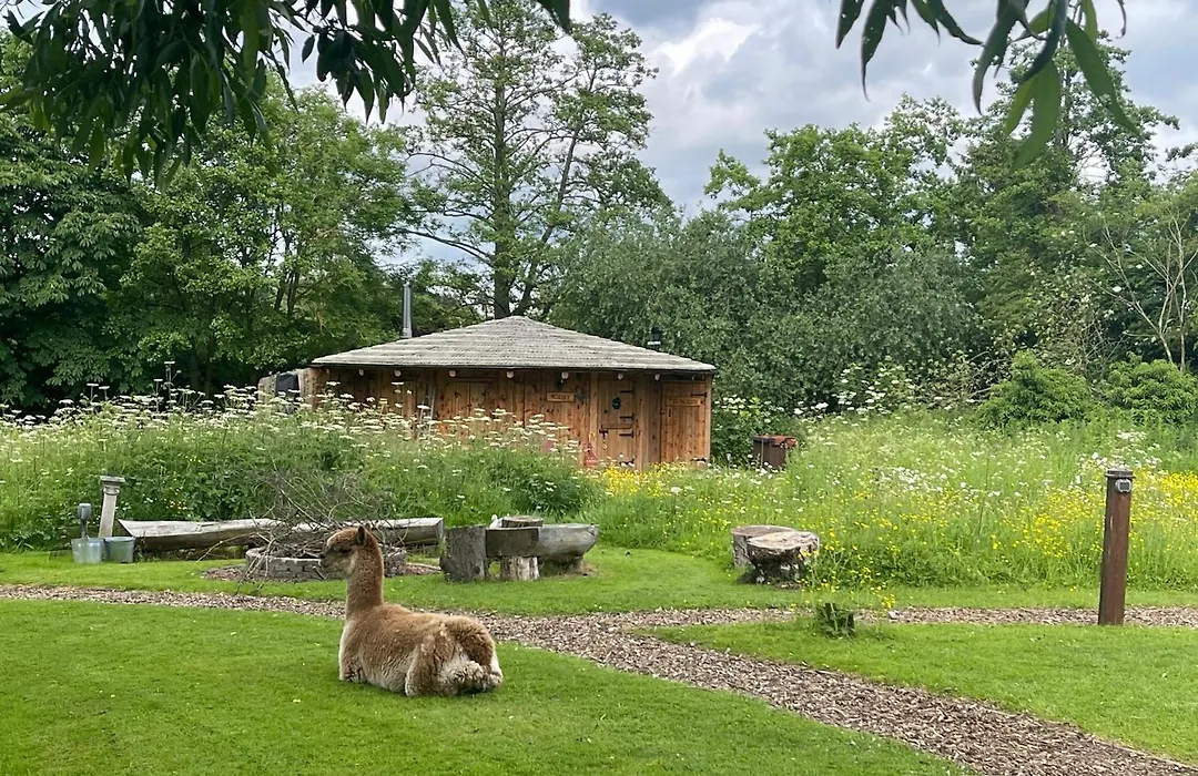Acorn Glade Glamping York-1