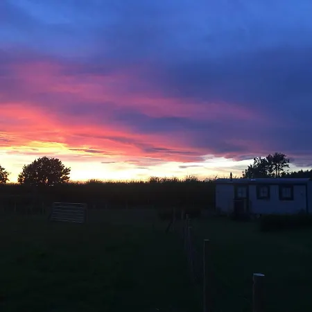 Springwood Shepherd Huts Glamping York-2