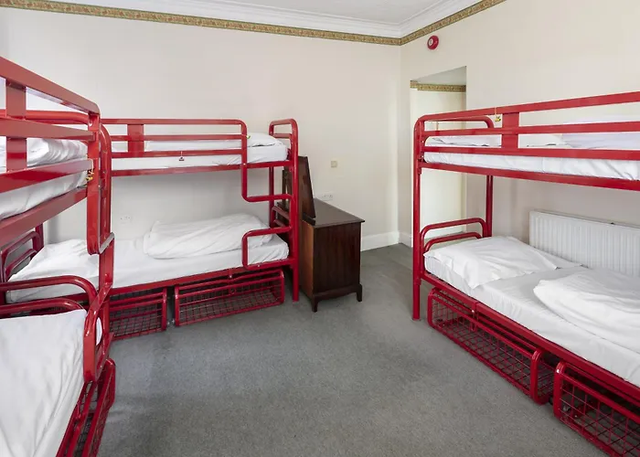 Astor York Hostel admite animales